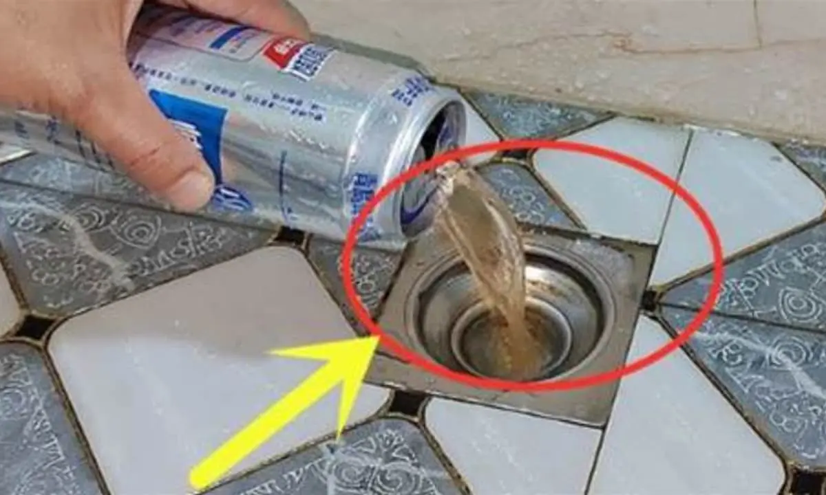 Việc nhét chai bia vào cống thật tuyệt vời. Nó giải quyết được một vấn đề  lớn cho mọi hộ gia đình. Thật thiết thực