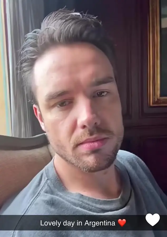 One of Payne's final selfies in Buenos Aires was captioned: 'Lovely day in Argentina'