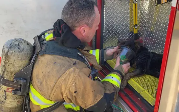 Fire Crew Heroically Rescues Two Dogs From Burning Building The rescued ...