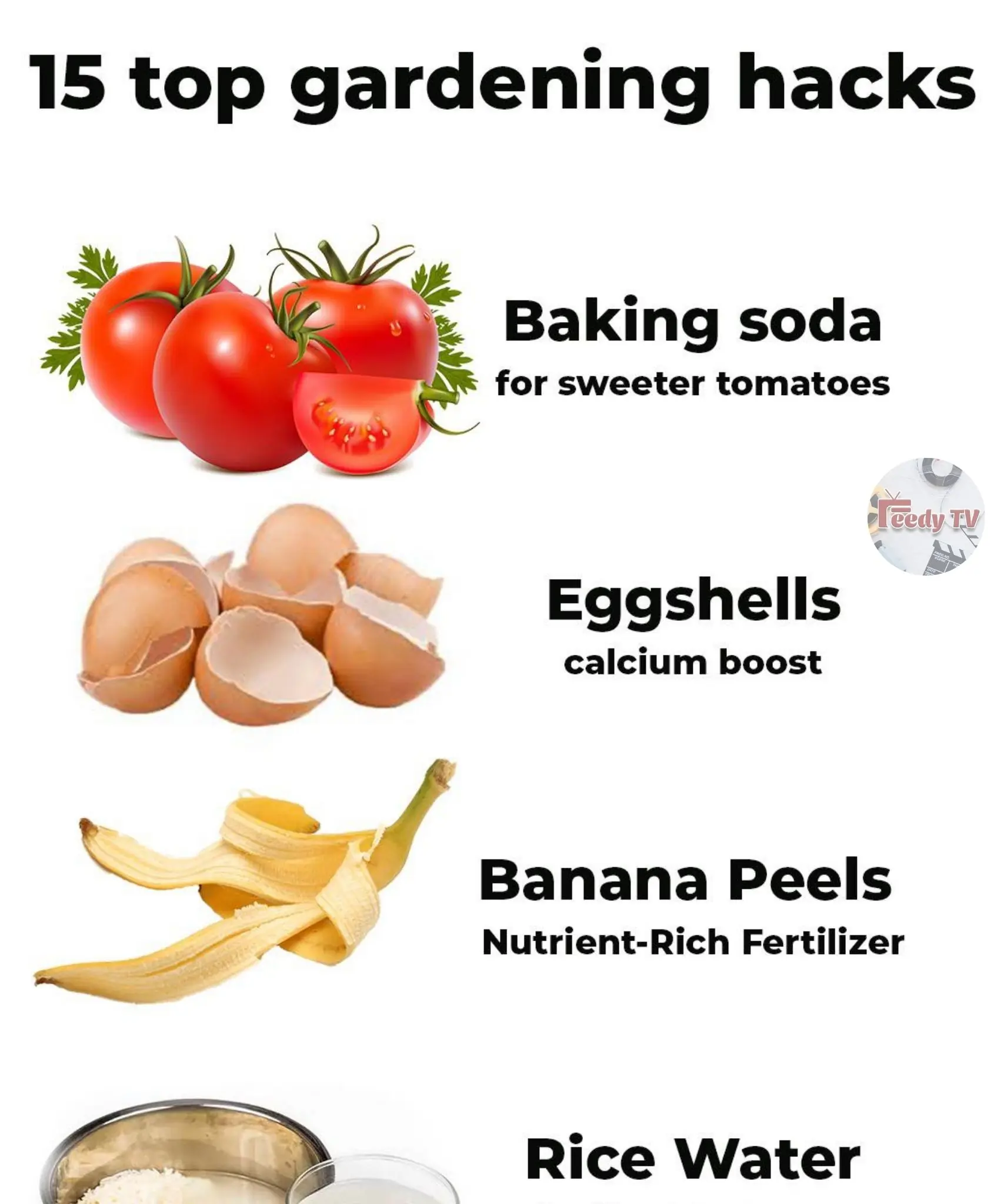 15 Genius Gardening Hacks for a Healthier, Thriving Garden