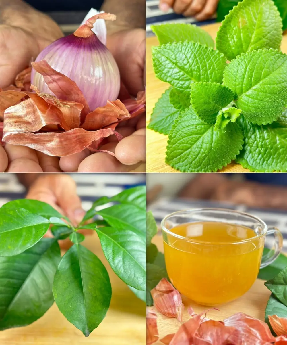 Eliminate Cancer, Diabetes, and High Blood Pressure with Dr. Frank Suárez’s Home Remedy