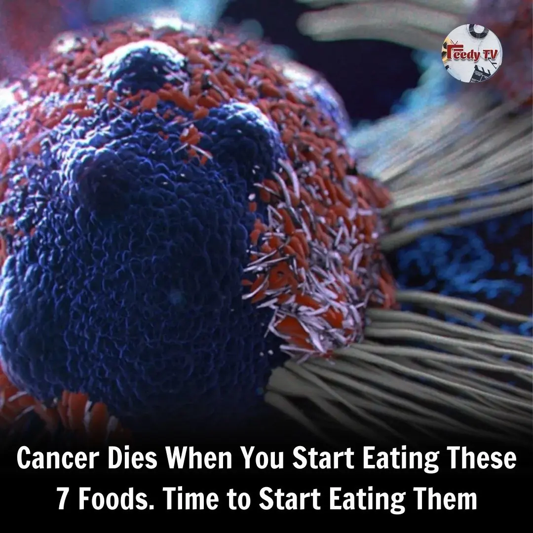 Cancer Dies When You Start Eating These 7 Foods. Time to Start Eating Them