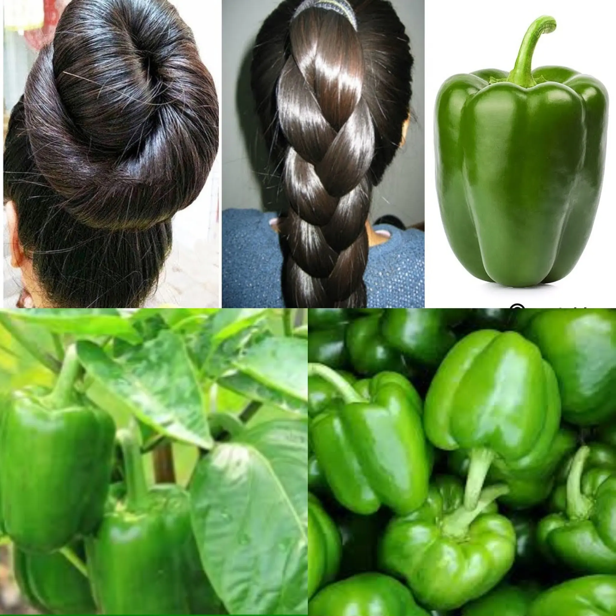 Green Pepper for Baldness: The Natural Hair Growth Solution You Didn’t Know You Needed