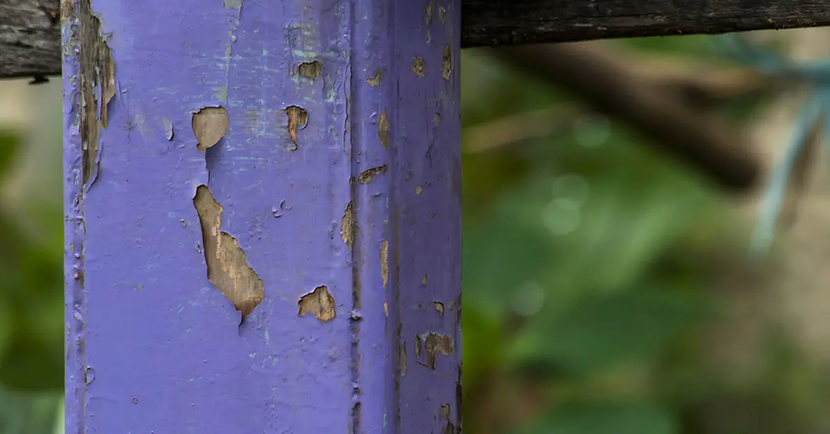 If You See a Painted Purple Fence, This Is What It Means