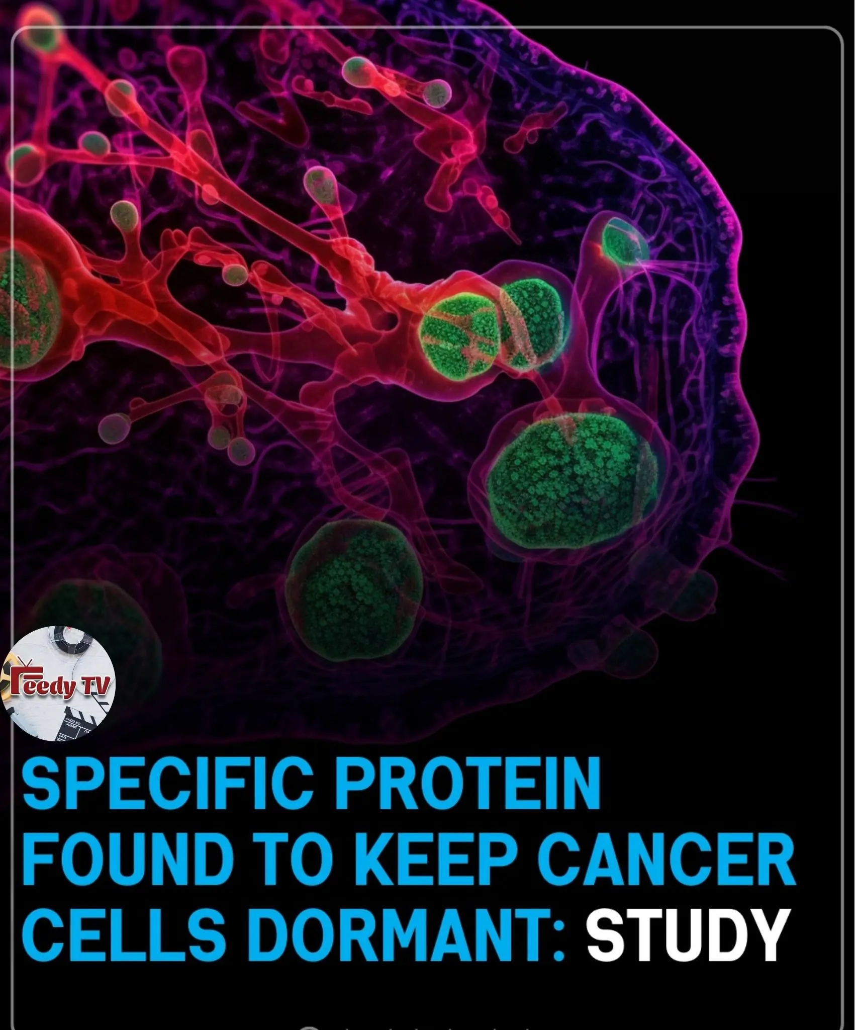 Specific Protein Found To Keep Cancer Cells Dormant: Study