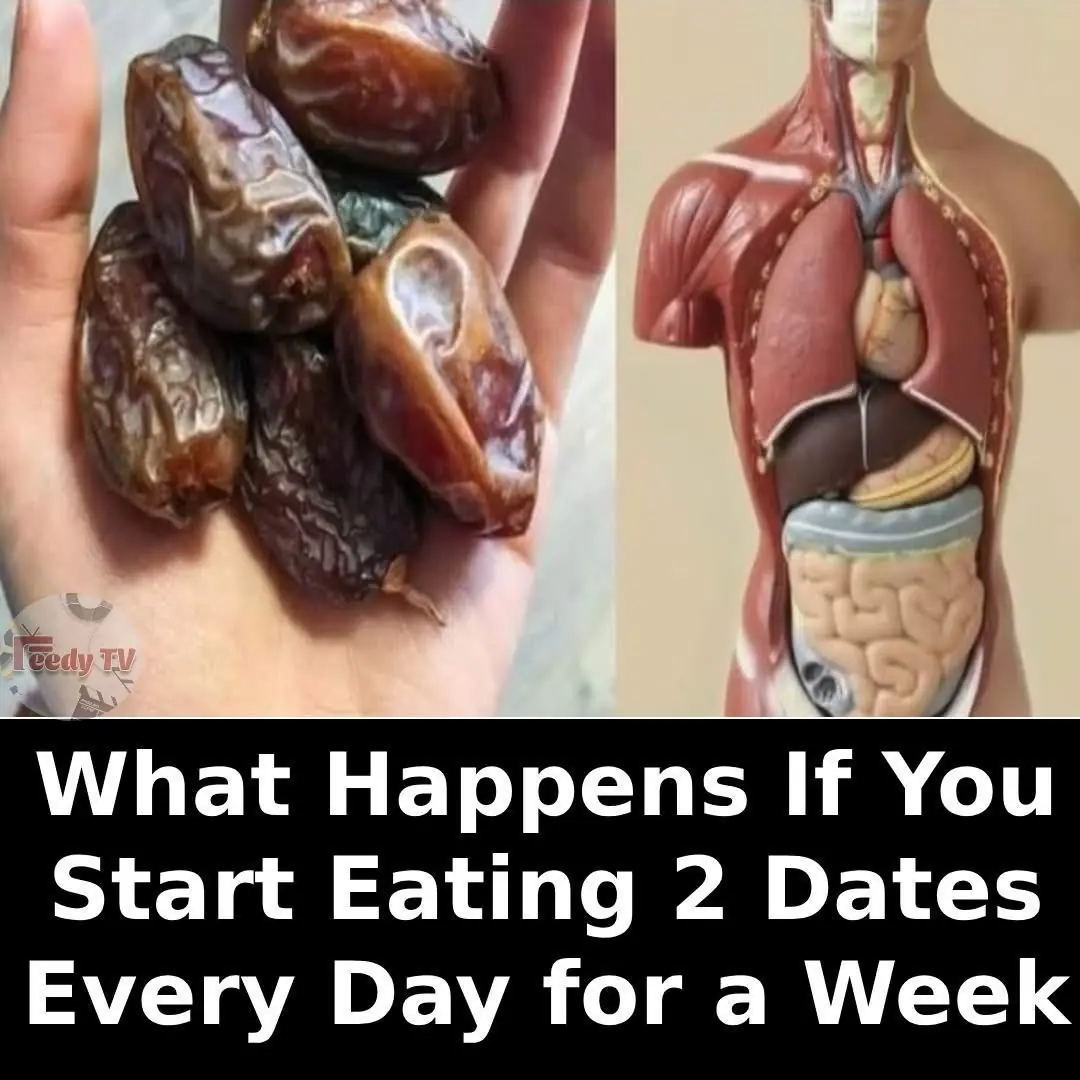 9 Reasons Why You Should Be Eating More Dates