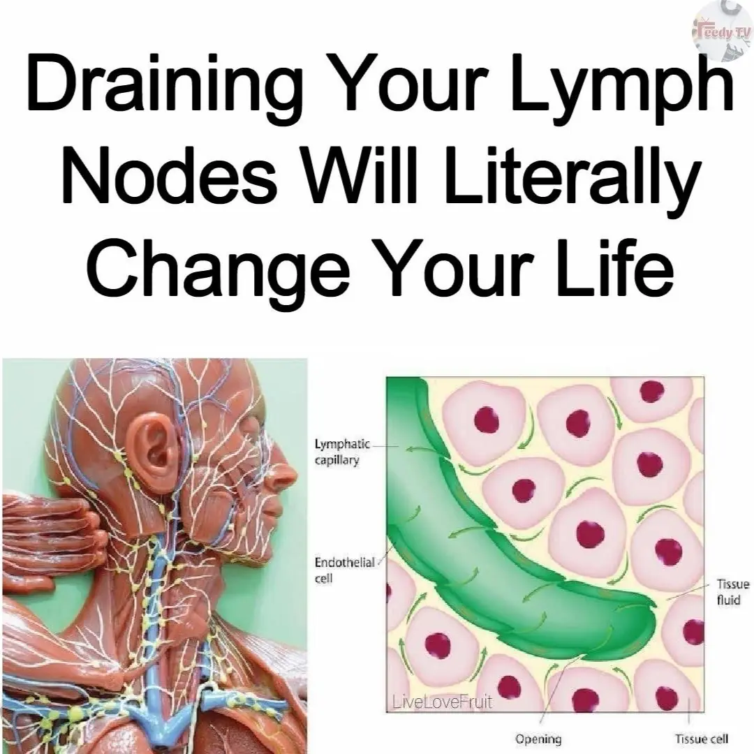 10 Ways To Support Your Lymphatic System