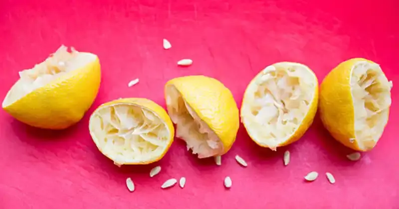 10 Clever Ways to Reuse Lemon Seeds at Home