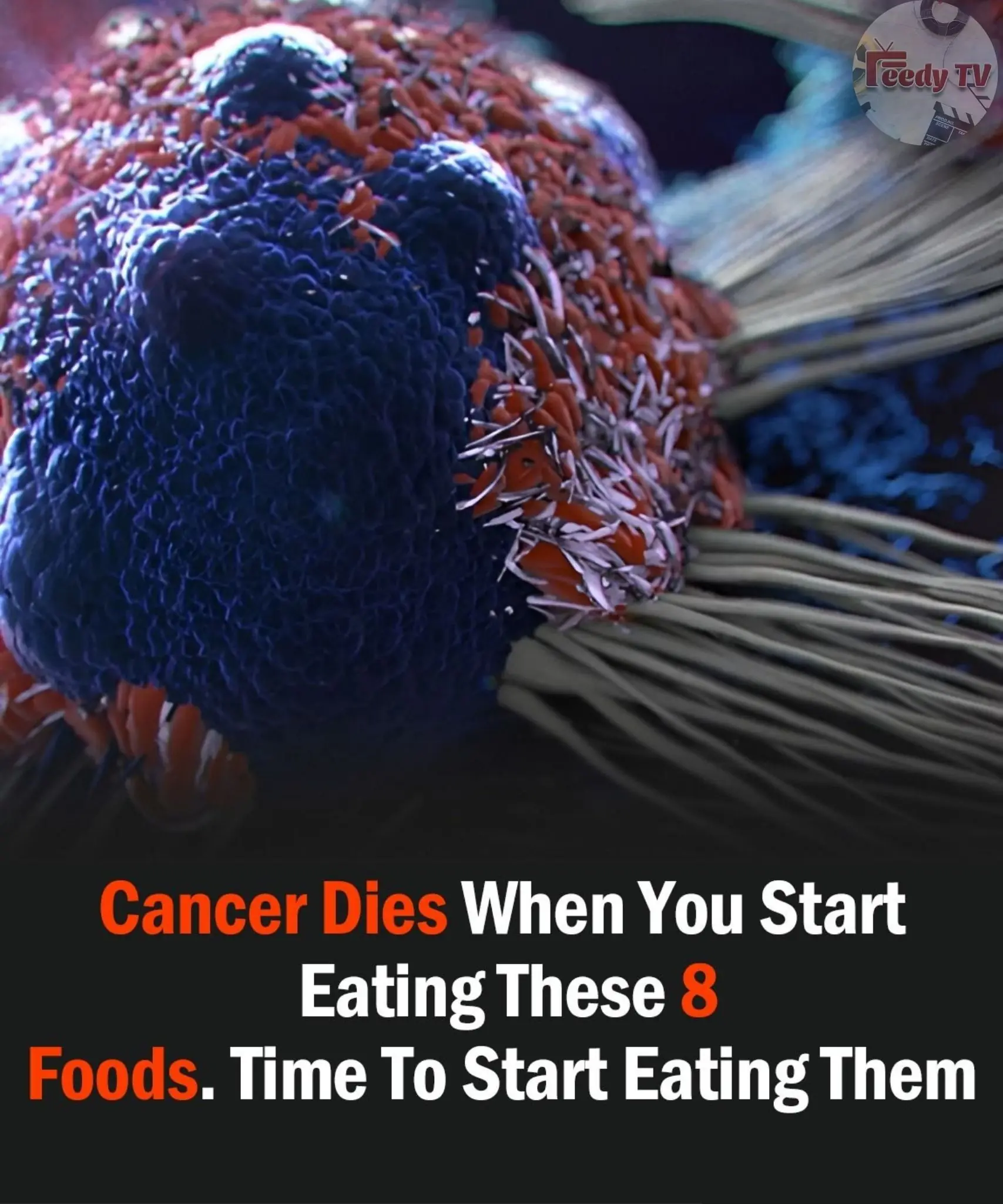 8 of the Best Anti-Cancer Foods. It’s Time to Start Adding them to Your Diet