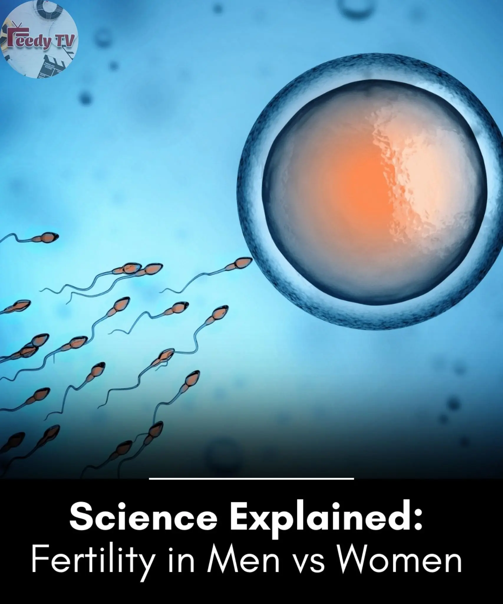 Age and fertility