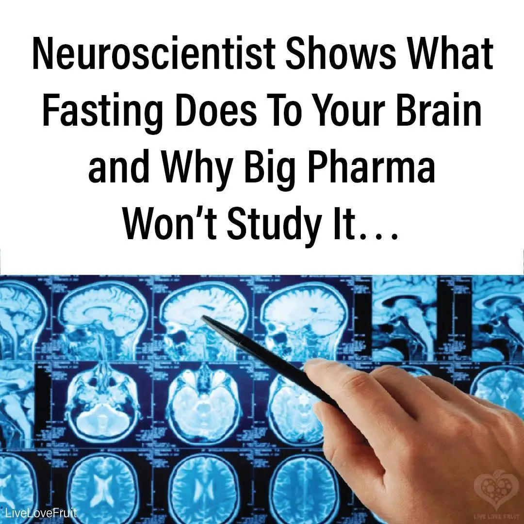 Neuroscientist Shows What Fasting Does To Your Brain and Why Big Pharma Won’t Study It…