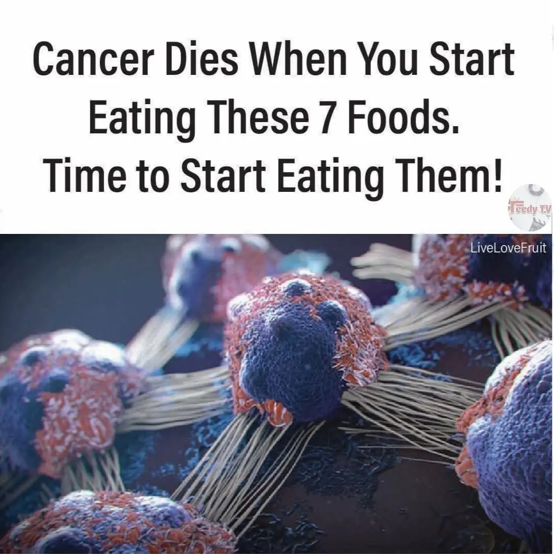 7 Anti-Cancer Foods That Kill Cancer The Moment You Start Eating Them