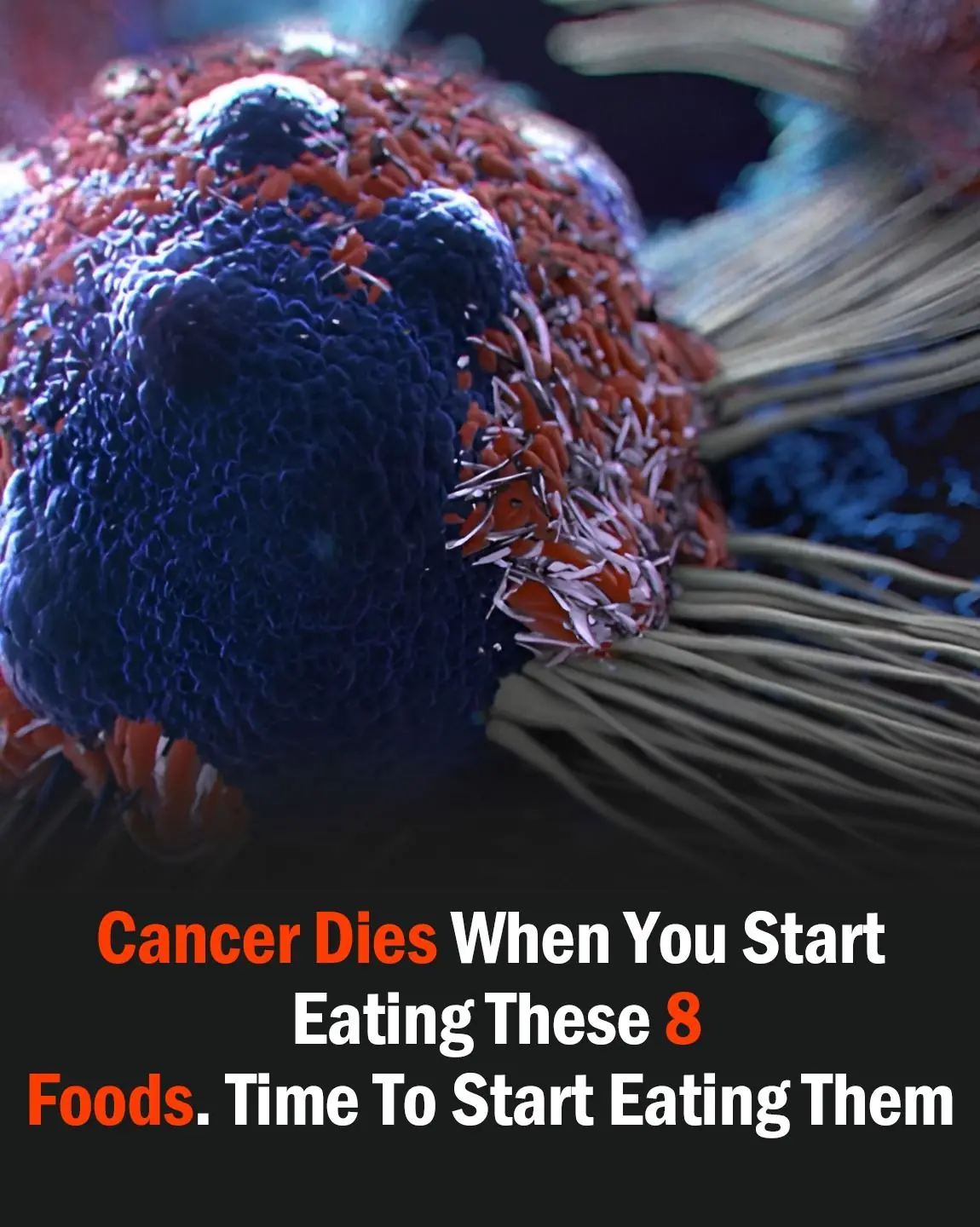 8 of the Best Anti-Cancer Foods. It’s Time to Start Adding them to Your Diet