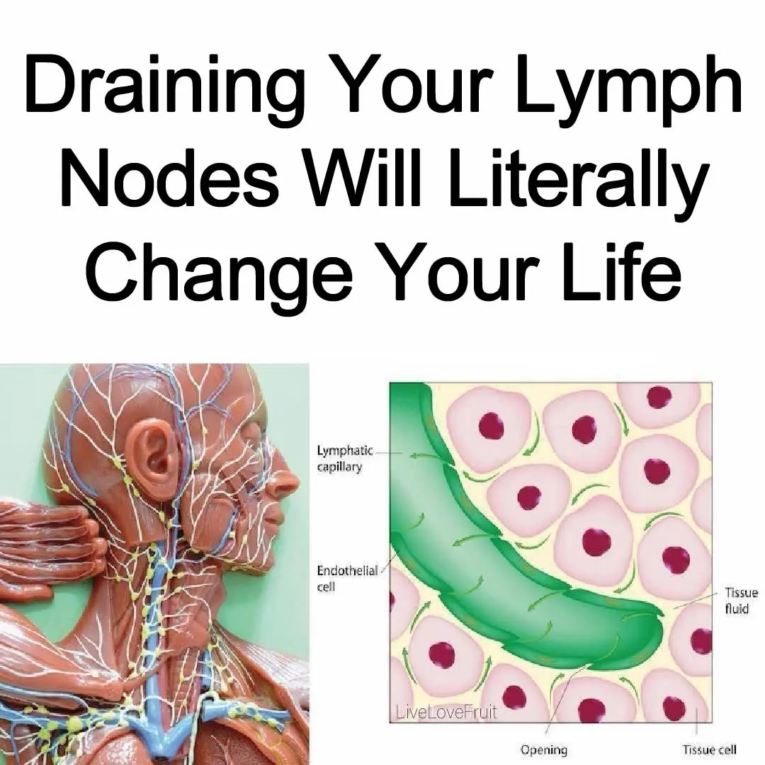 10 Ways To Support Your Lymphatic System