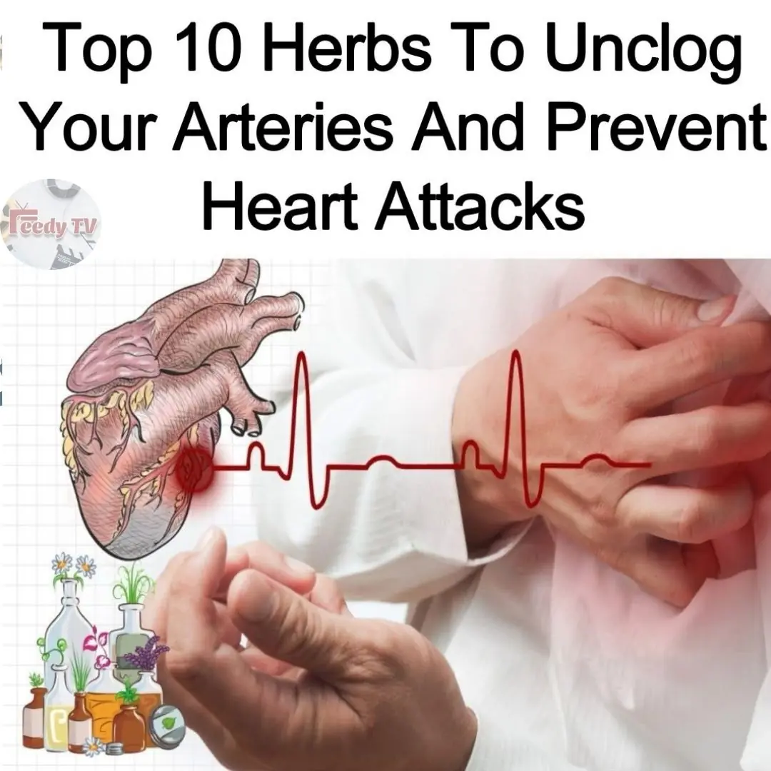 10 Foods That You Should Eat Daily For Clean Arteries