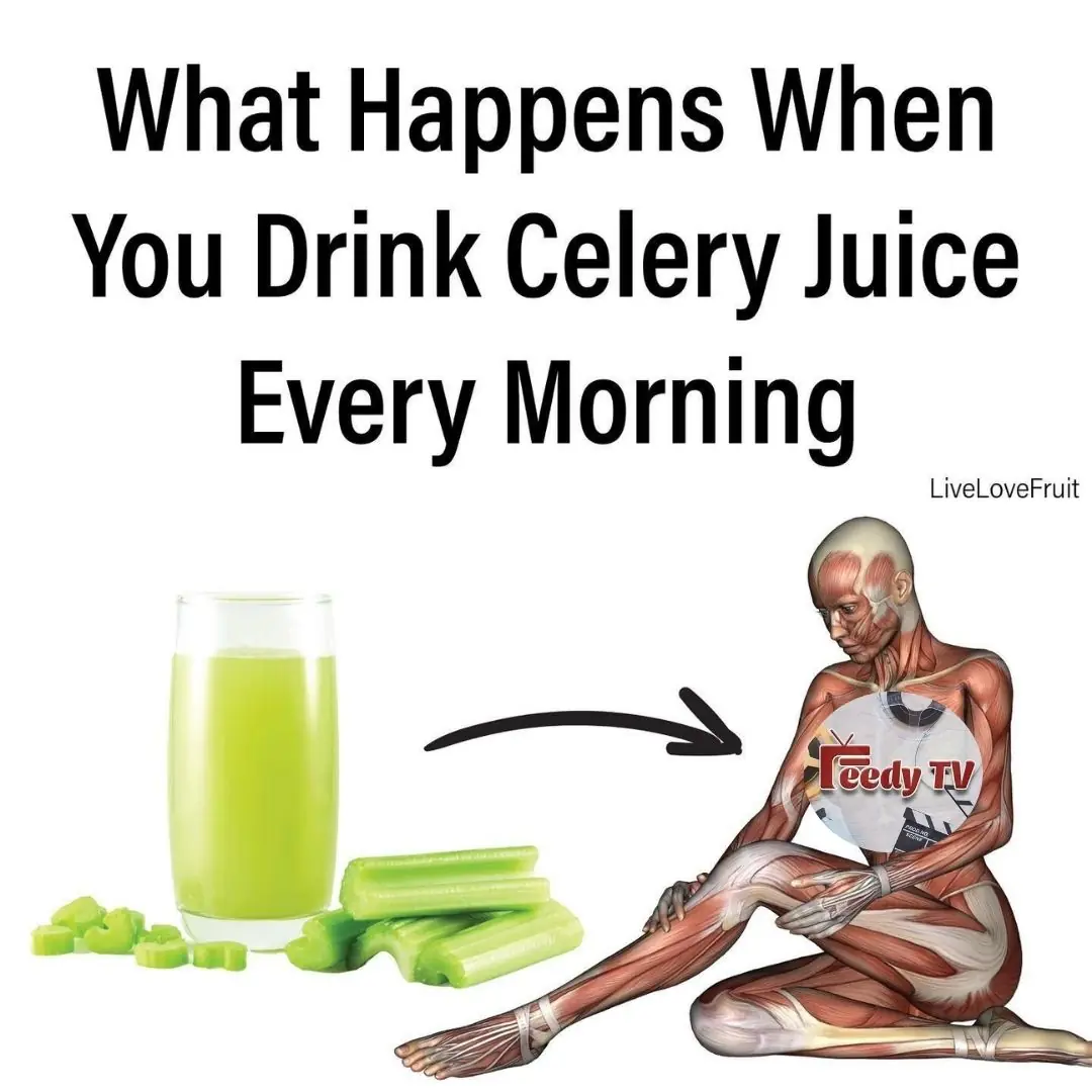 Category: HealthTop 10 Celery Juice Benefits To Heal Your Gut, Kill Viruses and Fight Chronic Illness Top 10 Celery Juice Benefits To Heal Your Gut, Kill Viruses and Fight Chronic Illness