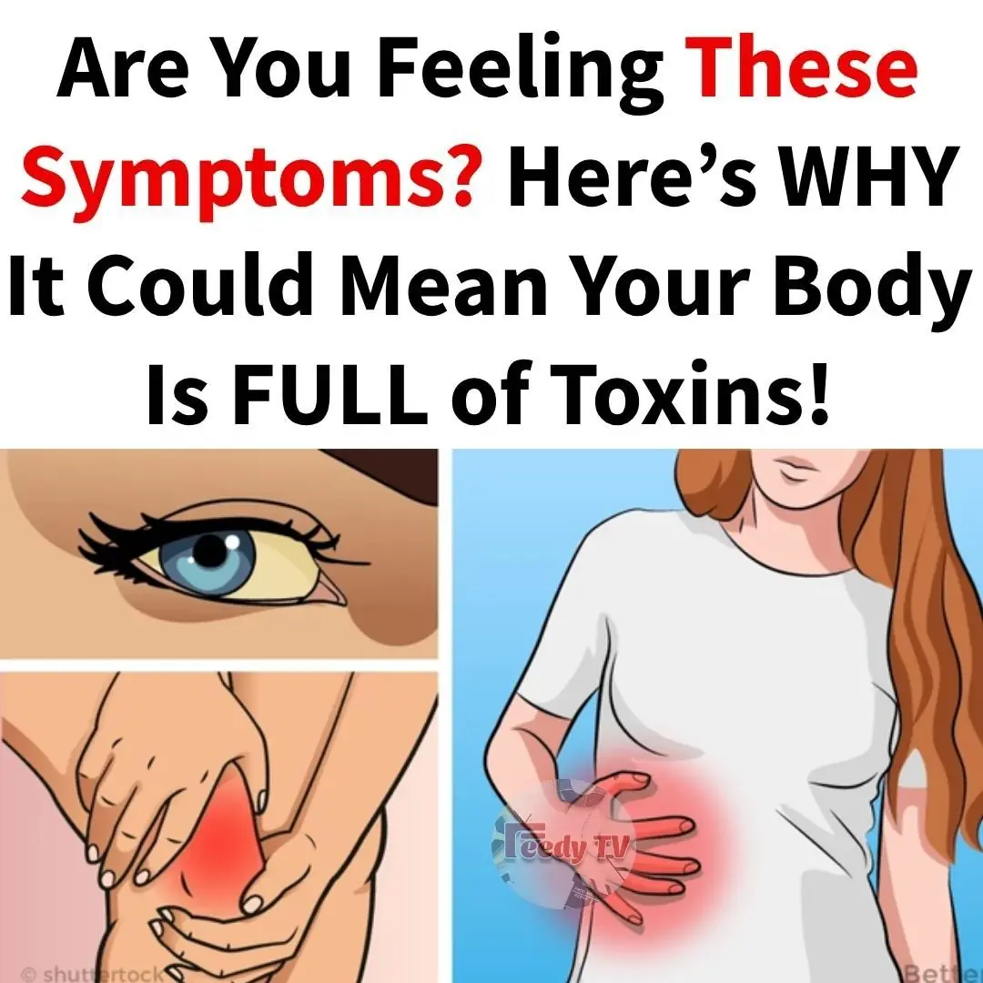 Top Signs Your Body is Toxic and What to Do About It