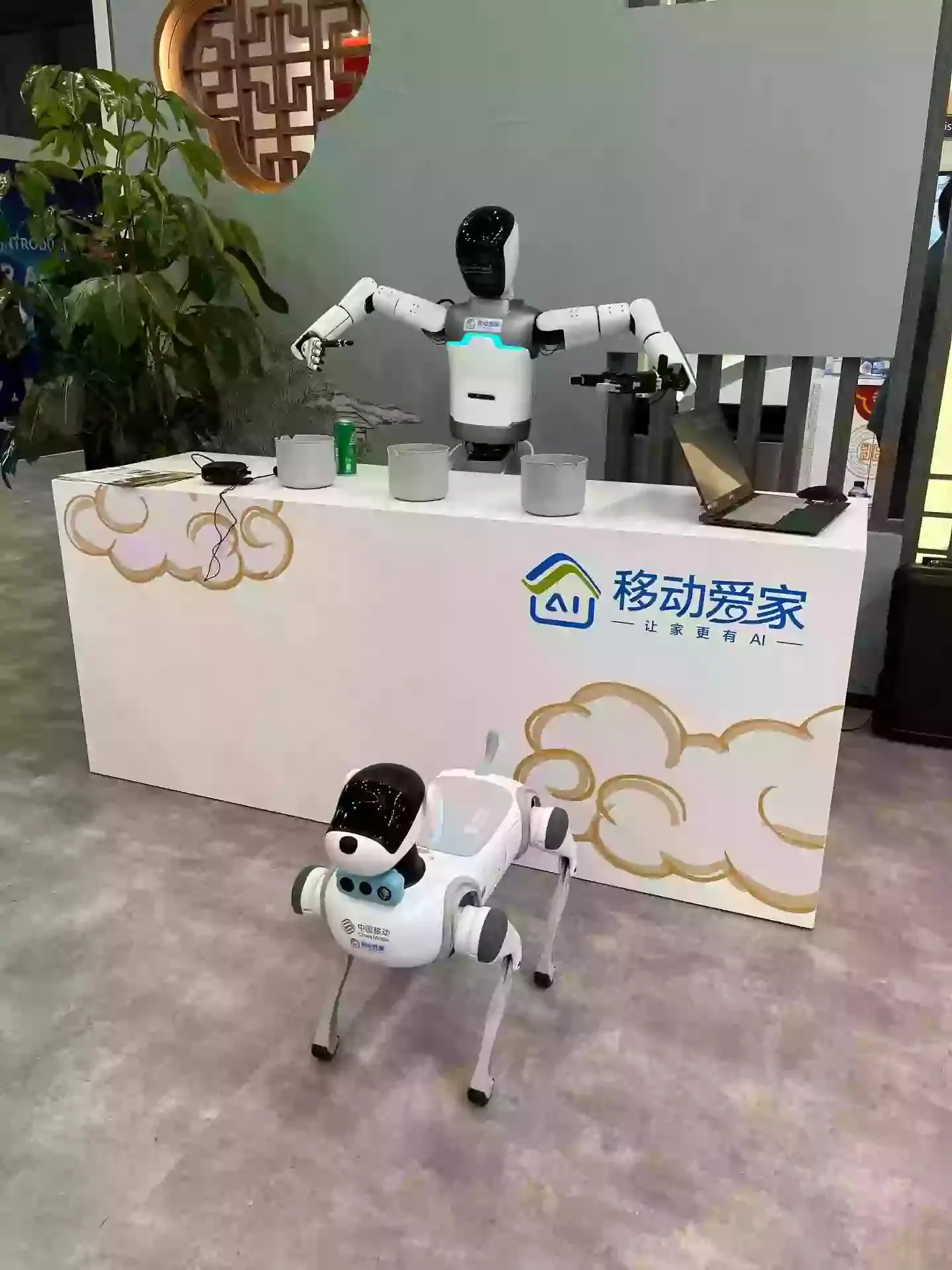 Chinese tech firm unveil humanoid robot set to be used among some of the most vulnerable in society