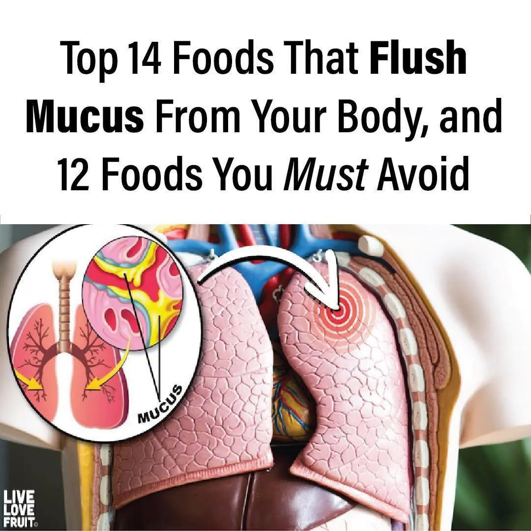 12 Foods That Cause Excessive Mucus In The Body (and 14 Foods That ...