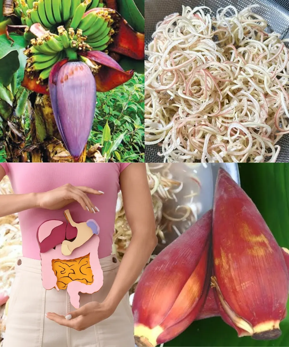 Banana Flower: A Natural Remedy for Prostate Health and Improved Urine Flow