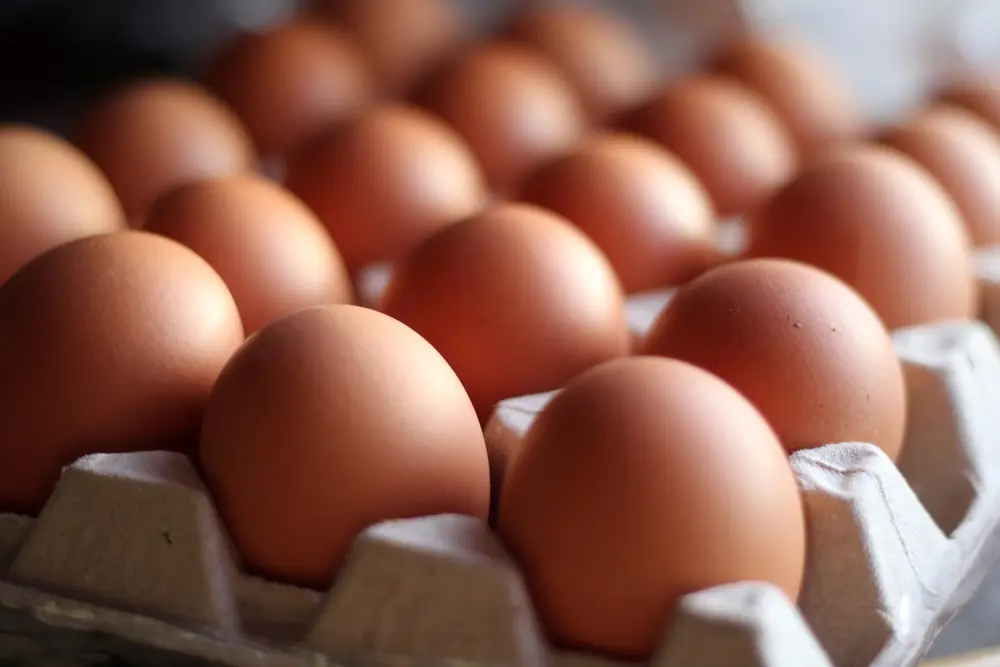 Man Over 700 Eggs In One Month To See What It Would Do To His Body. Here’s What Happened