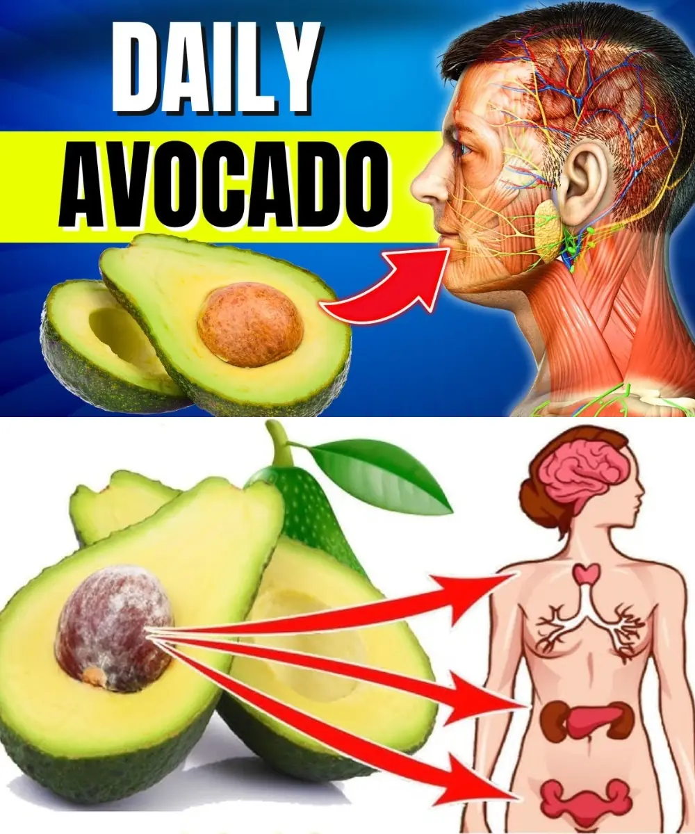 Don’t Eat Avocado Until You Know These 9 Things