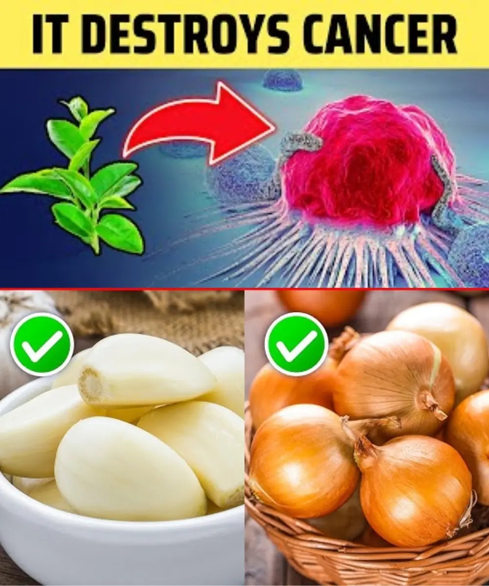 Cancer Dies When You Eat These 8 Foods: Harnessing Nature’s Power