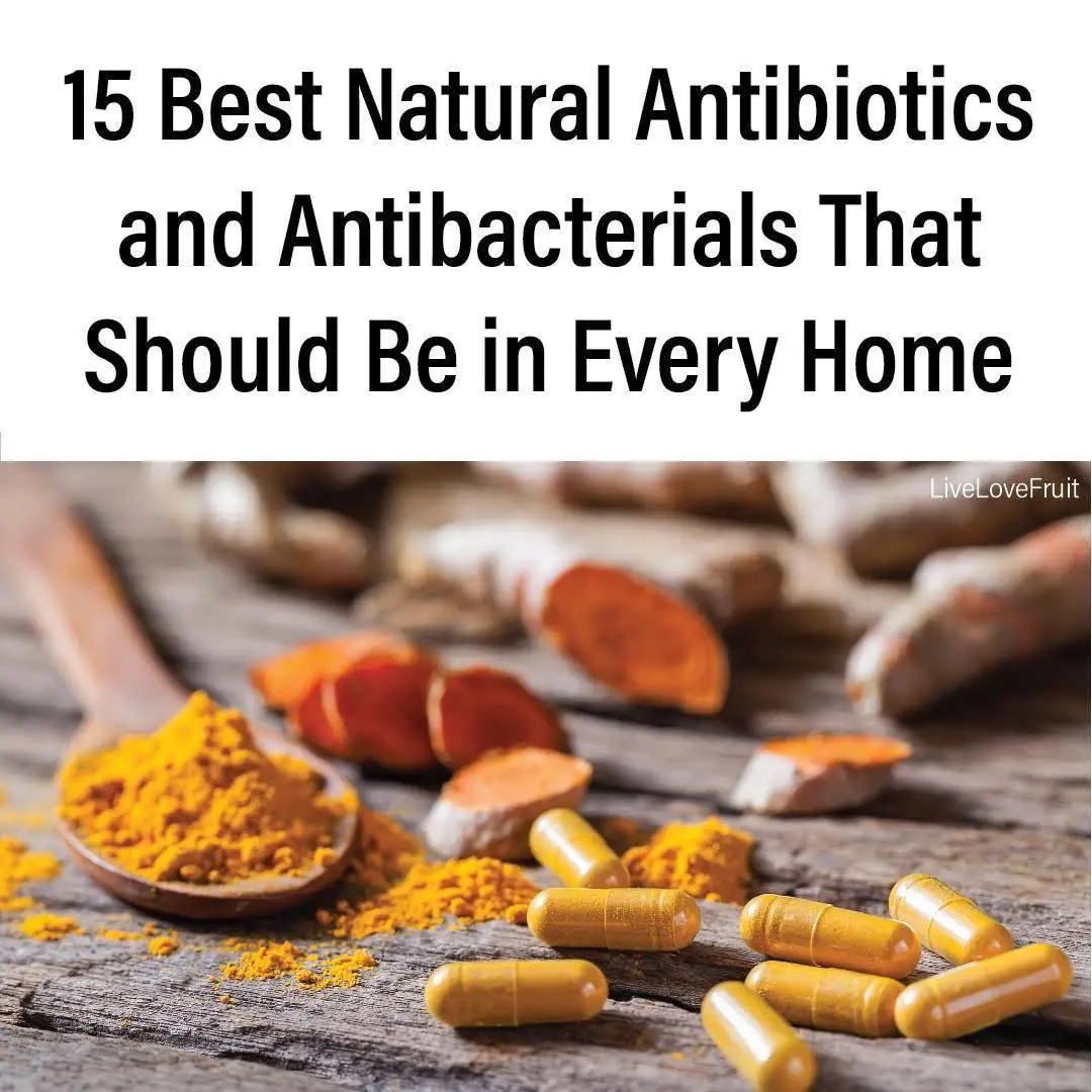 15 Best Natural Antibiotics and Antibacterials That Should Be in Every Home👇👇