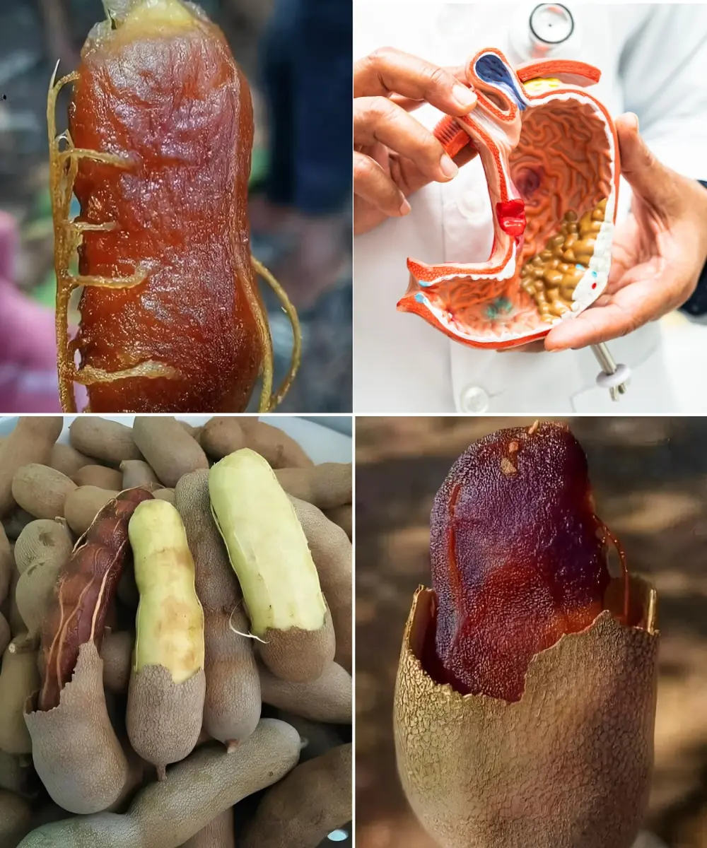 If You Know These 5 Facts, You'll Want to Eat More Tamarind!