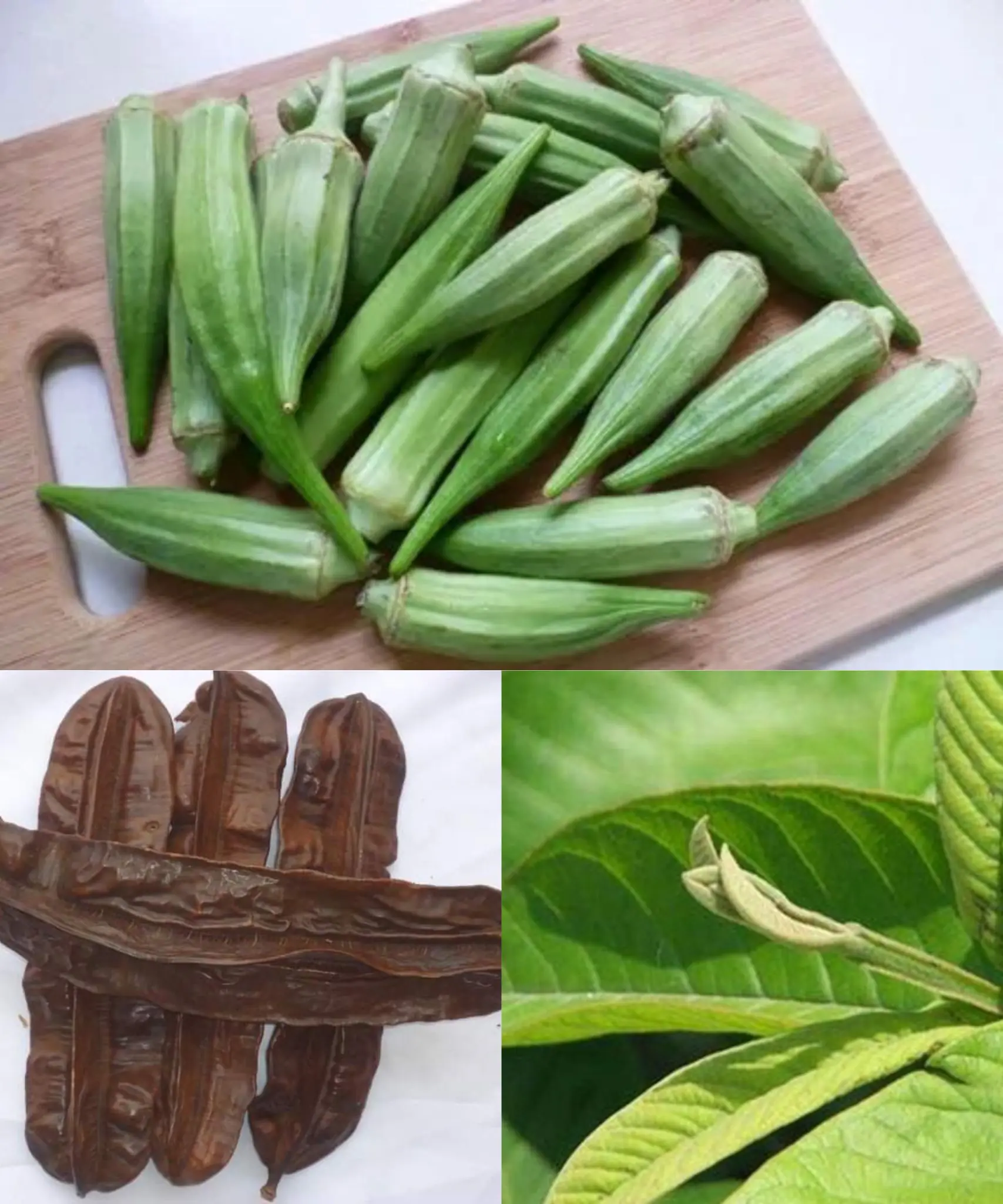 Guava Leaf, Aidan Fruit, and Okra for Boosting Ovulation