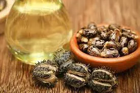 6 Powerful Castor Oil Benefits for Your Health and Wellness