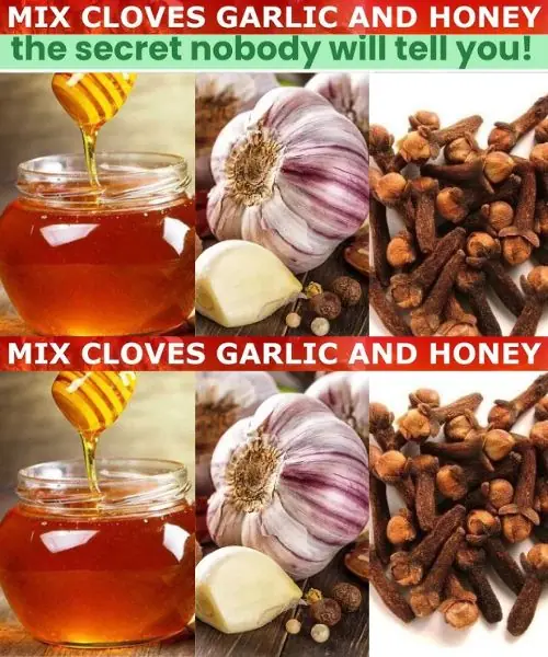 Cloves, Garlic, and Honey: A Potent Natural Remedy