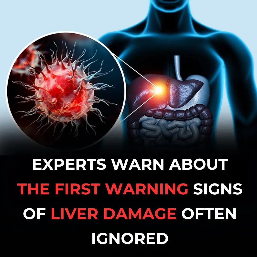 Early Signs of Liver Damage & How to Strengthen Your Liver