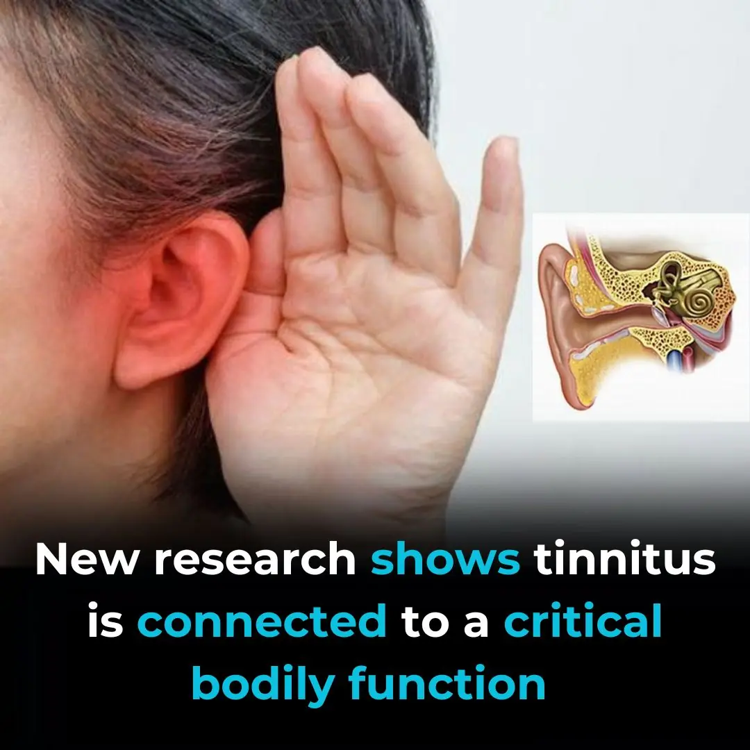 Tinnitus seems linked with sleep – understanding how could bring us closer to finding a cure