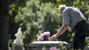 Grieving Husband Shocked to See Flowers from Late Wife’s Grave in His Kitchen