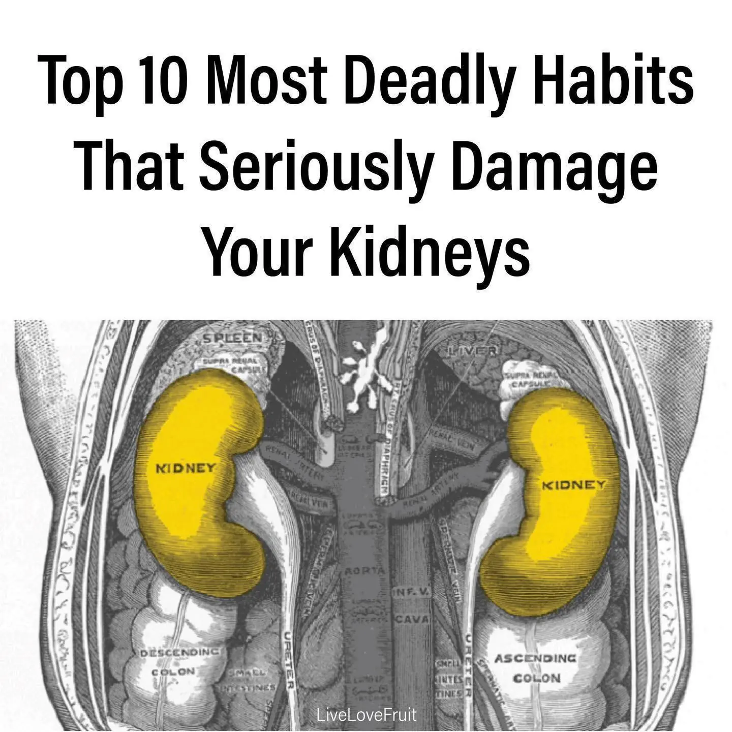 Top 10 Most Deadly Habits That Seriously Damage Your Kidneys Top 10 Most Deadly Habits That Seriously Damage Your Kidneys