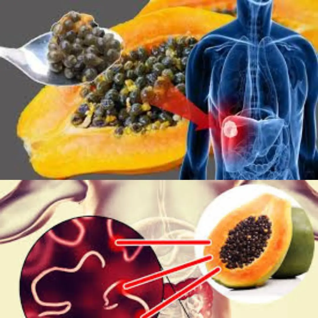 The Powerful Health Benefits of Papaya Seeds: Why You Should Include Them in Your Diet