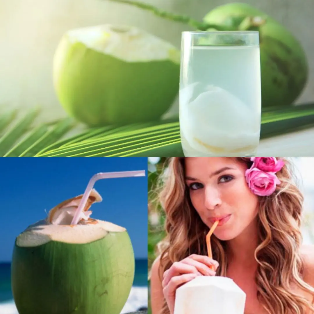 Drinking One Coconut a Day is Like Sipping the 'Elixir of Life'