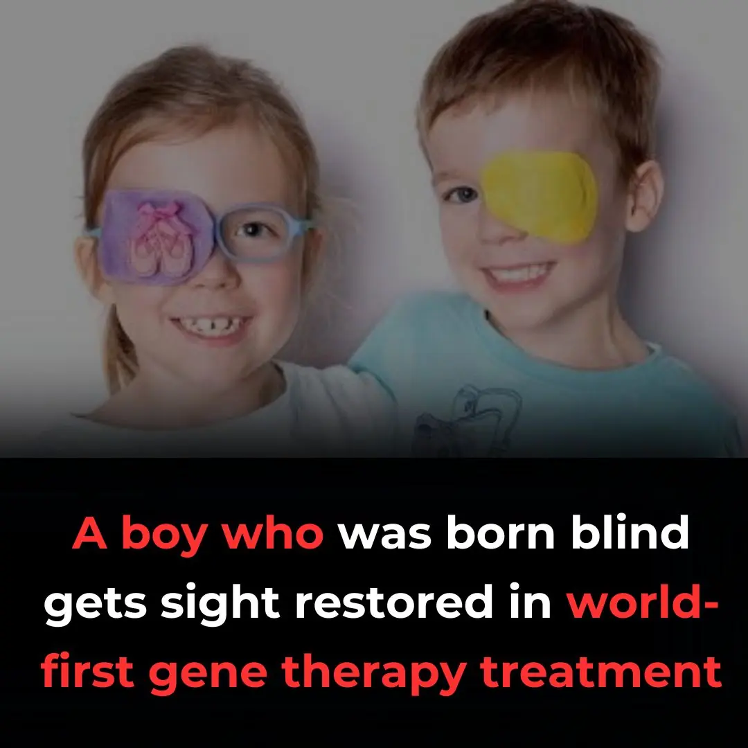 Gene therapy in children with AIPL1-associated severe retinal dystrophy: an open-label, first-in-human interventional study