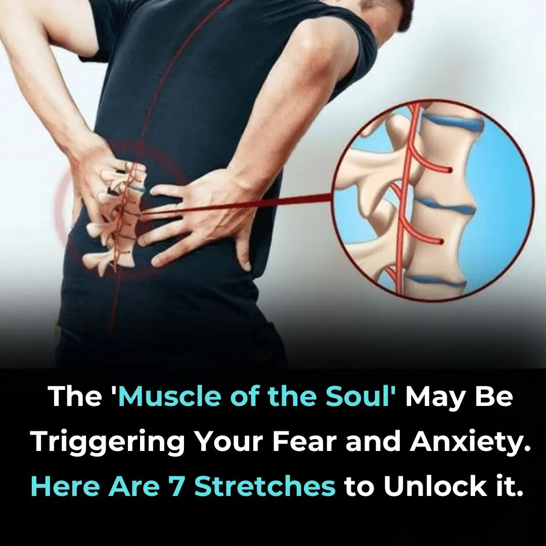 Psoas Muscle Pain Relief: How to Unlock the ‘Muscle of Your Soul’