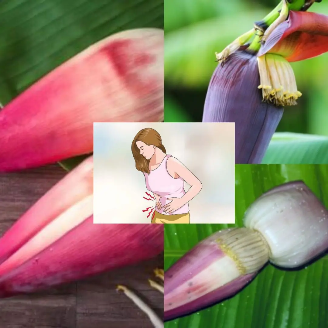 Banana Blossom: Health Benefits, Recipes, and Uses