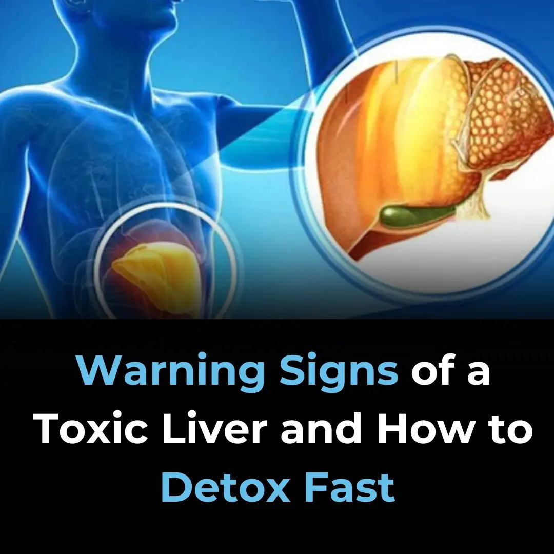 Early Signs of Liver Damage & How to Strengthen Your Liver