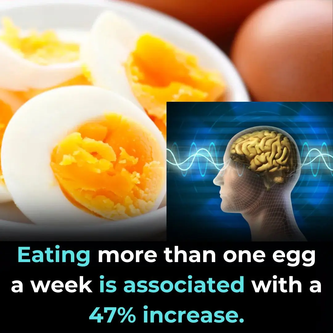 Proven Health Benefits of Eating Eggs Based on Evidence