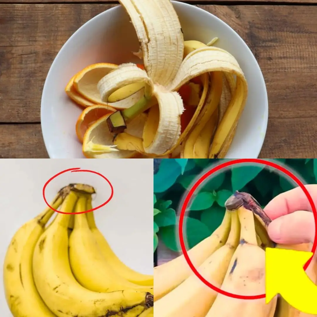 Never Throw Away This Part of Bananas: That’s Why It’s Worth Gold in the Home