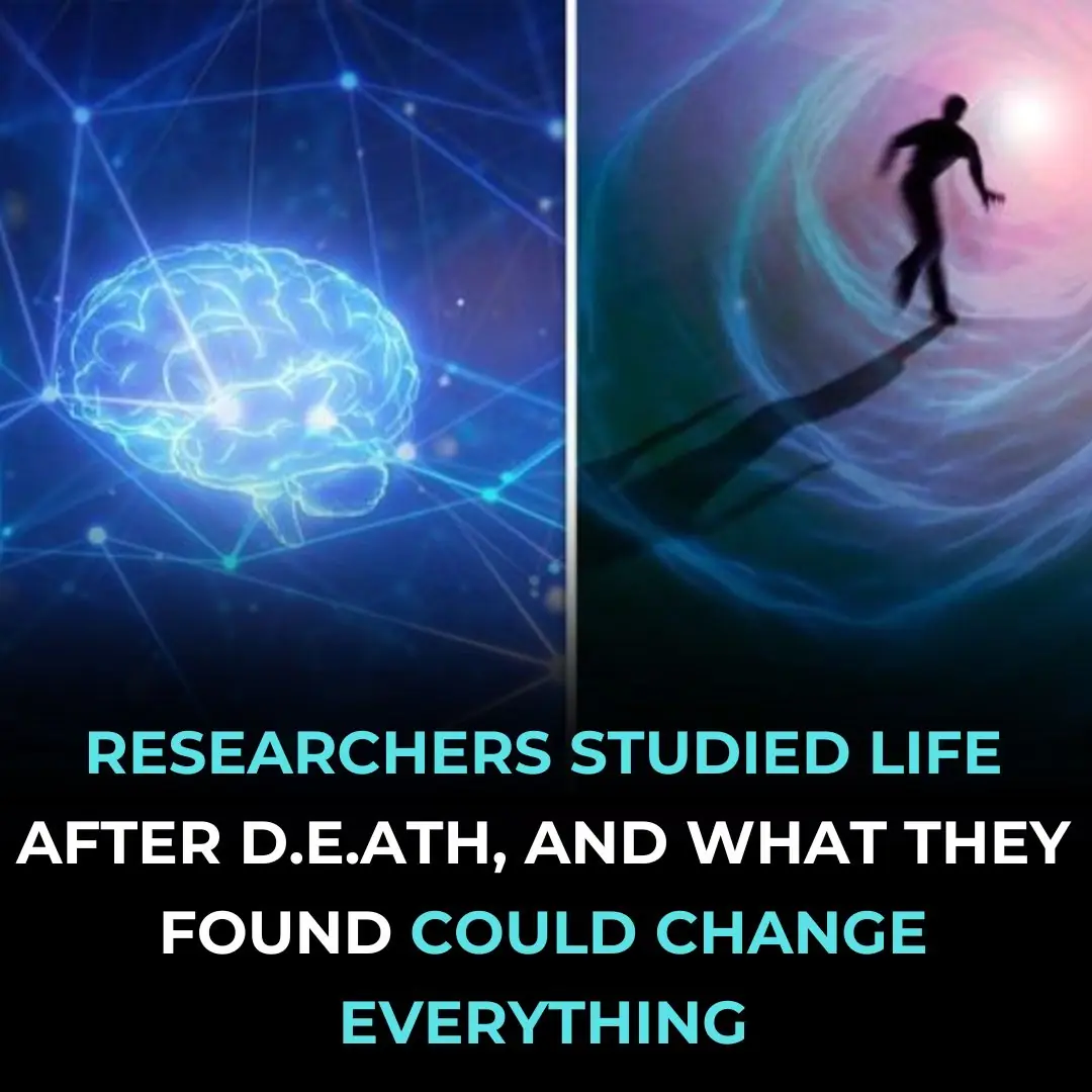 Researchers Studied Life After Death, And What They Found Could Change Everything