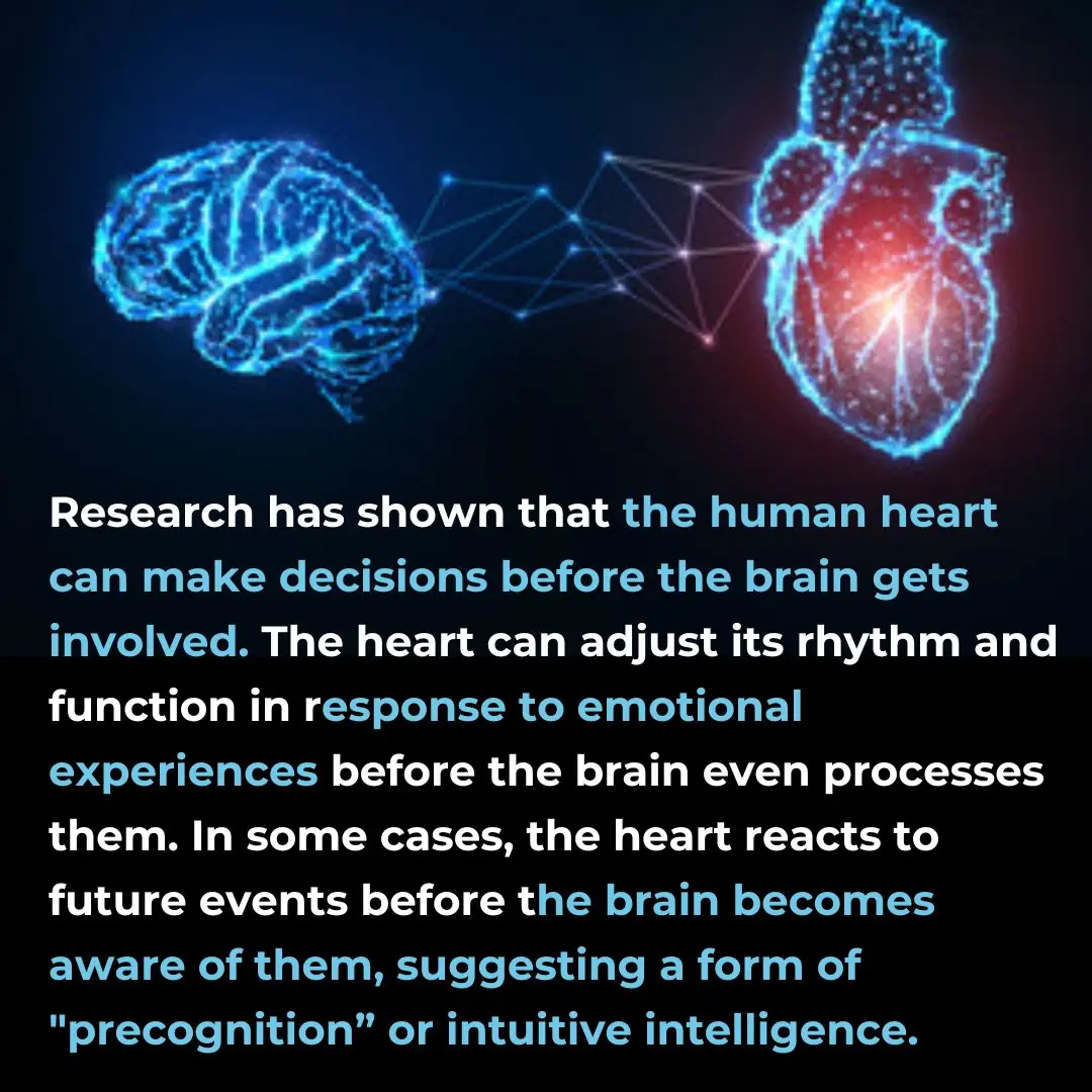 Clinical potential of sensory neurites in the heart and their role in decision-making