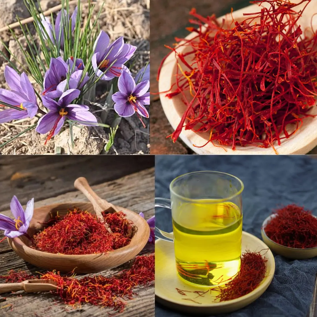 The Golden Spice: Benefits of Saffron and How to Use It