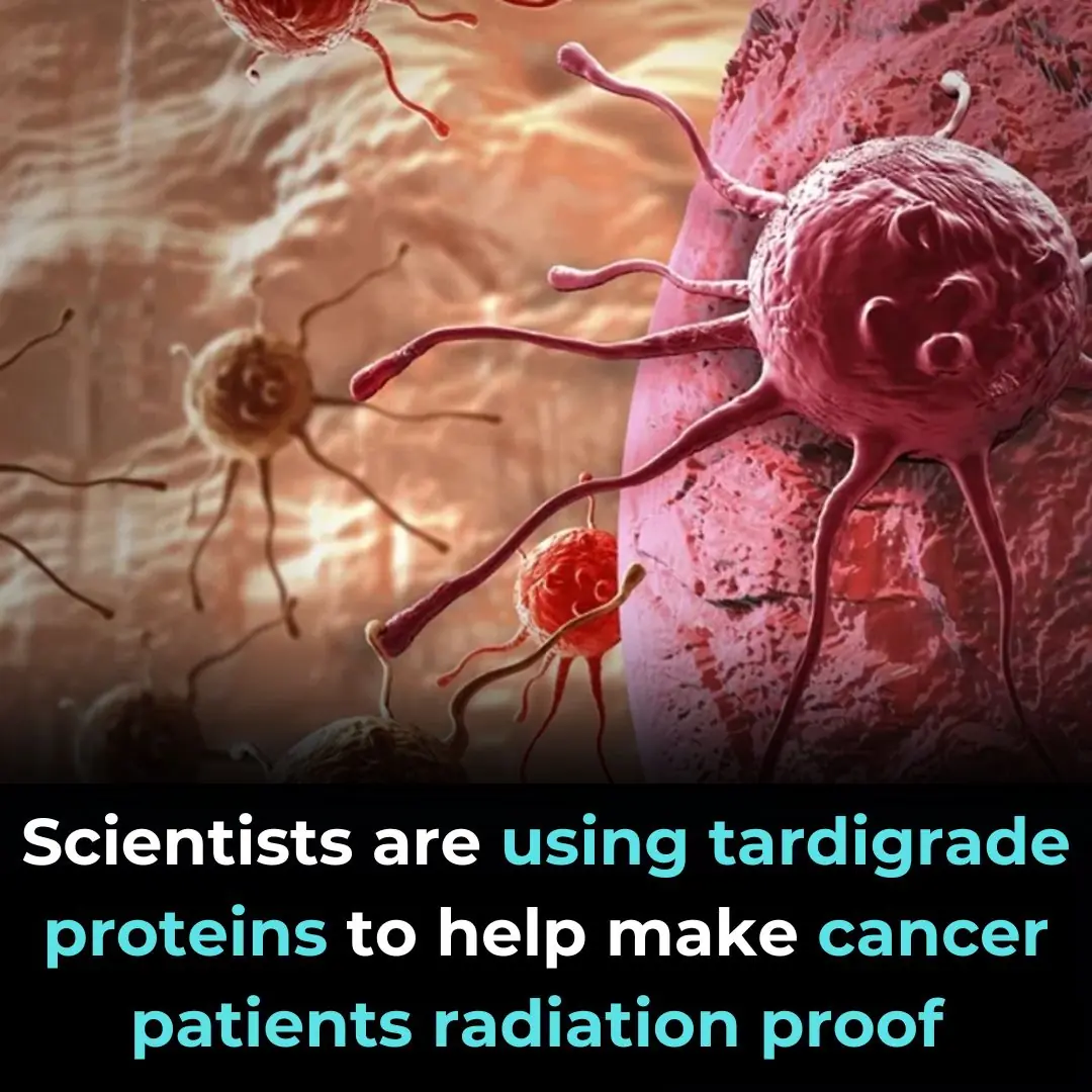 New Discovery Could Reduce Radiation Side Effects for Cancer Patients