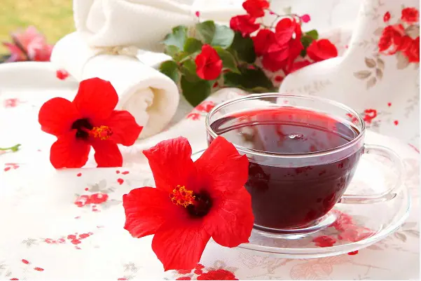 Hibiscus Leaves and Flowers: Benefits and Homemade Uses