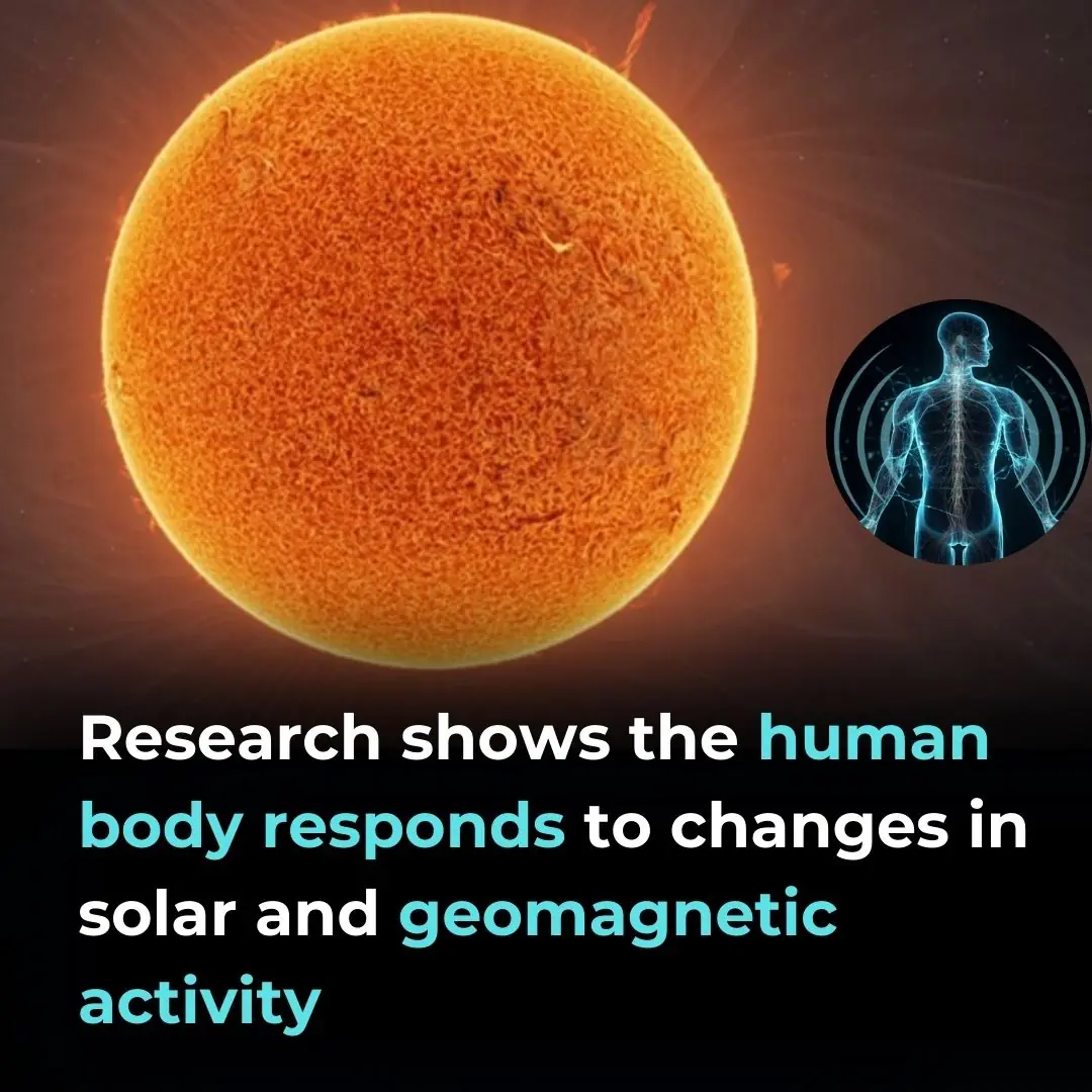 Long-Term Study of Heart Rate Variability Responses to Changes in the Solar and Geomagnetic Environment